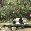 評論圖片