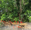 評論圖片