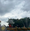 評論圖片