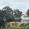 評論圖片