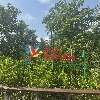 評論圖片