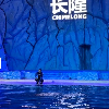 評論圖片