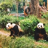 評論圖片