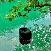 評論圖片