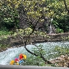 評論圖片