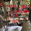 評論圖片