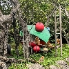 評論圖片