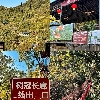 評論圖片