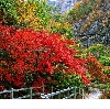 評論圖片