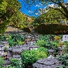 評論圖片
