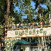 評論圖片