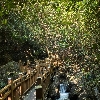 評論圖片