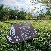 評論圖片