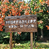 評論圖片