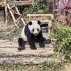 評論圖片