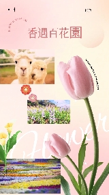 東莞香遇百花園實測｜3個套餐怎麼選最抵？5個避坑點必看✨