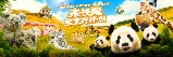 廣州長隆野生動物園實測｜1997年開業嘅全球動物種群最多公園！避坑攻略✨