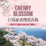 2025韓國櫻花節去哪看？推薦 這個小眾網紅地給你！
