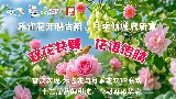 东莞清溪鎮第十四屆賞花行活動