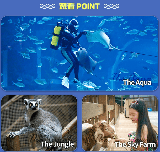 韓國京畿道水族館｜預訂前必睇！3個隱藏細節唔好錯過✨