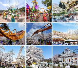 首爾樂園實玩日記｜魷魚遊戲場景+動物園+四季美景一次收！超讚💖