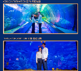 釜山必去｜SEA LIFE水族館預訂前必看！超抵玩但要註意這些坑💡
