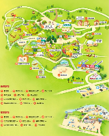 江原道洪川羊駝世界｜遊玩全攻略：避坑要點+實用建議