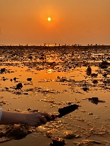 惠州一日遊：「馬爾代夫」巽寮灣2天1夜全攻略來啦