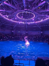 東京品川水族館｜搭JR2分鐘到！圓柱海豚秀超讚避坑指南📝