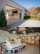 京畿道熱門打卡點，地戲廳四姐妹同款——羊駝牧場