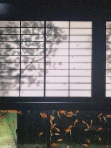 東京銀座金魚藝術展實測｜避坑+行程規劃全攻略✨