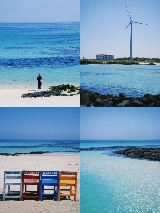 濟州島自由行，5天4夜，打卡IU樸寶劍新劇《苦盡柑來遇見你》拍攝地！