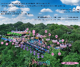 芭堤雅美人魚餐廳｜夕陽下的童話感超讚！預訂必看3要點💡