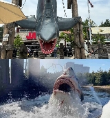 大阪環球影城快捷票避坑總結！這5點一定要註意💡