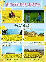 韓劇《苦盡柑來遇見你》濟州島同款地盤點