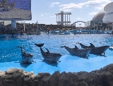 名古屋港水族館之旅