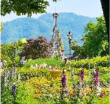 2025韓國蔚山大公園玫瑰園舉辦的玫瑰慶典