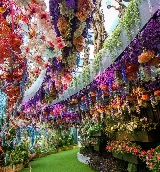 新加坡濱海灣花園一日遊｜隱藏版體驗+行程順序大公開🤩