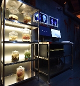 新加坡科學中心預訂攻略｜3選票重點+行程懶人包！超讚💫