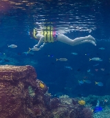 新加坡水上探險樂園｜親子/刺激雙滿足！行程規劃+隱藏亮點大公開🥳