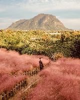 濟州島之秋｜漢拿山賞秋全攻略