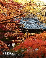 2025逃離首爾！探秘韓國必去私藏級楓景秘境