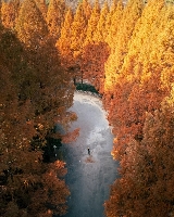 韓國長泰山秋季賞楓葉攻略：探尋大田的天然氧吧