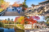 韓國慶州秋季必賞楓葉，十大絕美景點全攻略