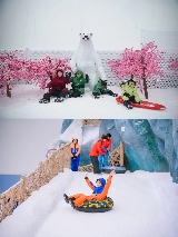 深圳壹日遊夏季必去｜在卡魯冰雪世界實現滑雪自由🎿