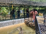 蘭卡威鱷魚公園玩樂日記｜結合SkyCab一日遊超讚🤩