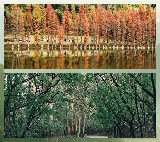 佛山三水森林公園交通全攻略：港澳及珠三角直達天然氧吧