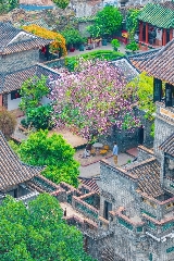 第一次去東莞‼️請直接復製這條東莞一日遊路線