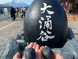 富士山一日遊避坑指南！新富士山D線小團全攻略