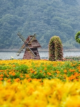 🌿廣州石門避暑攻略｜港澳遊客專屬！在 25℃森林裏逃離都市熱浪